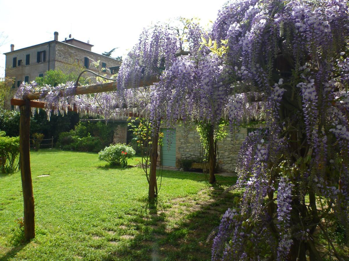 Bio La Crocetta Hotel San Casciano dei Bagni Buitenkant foto